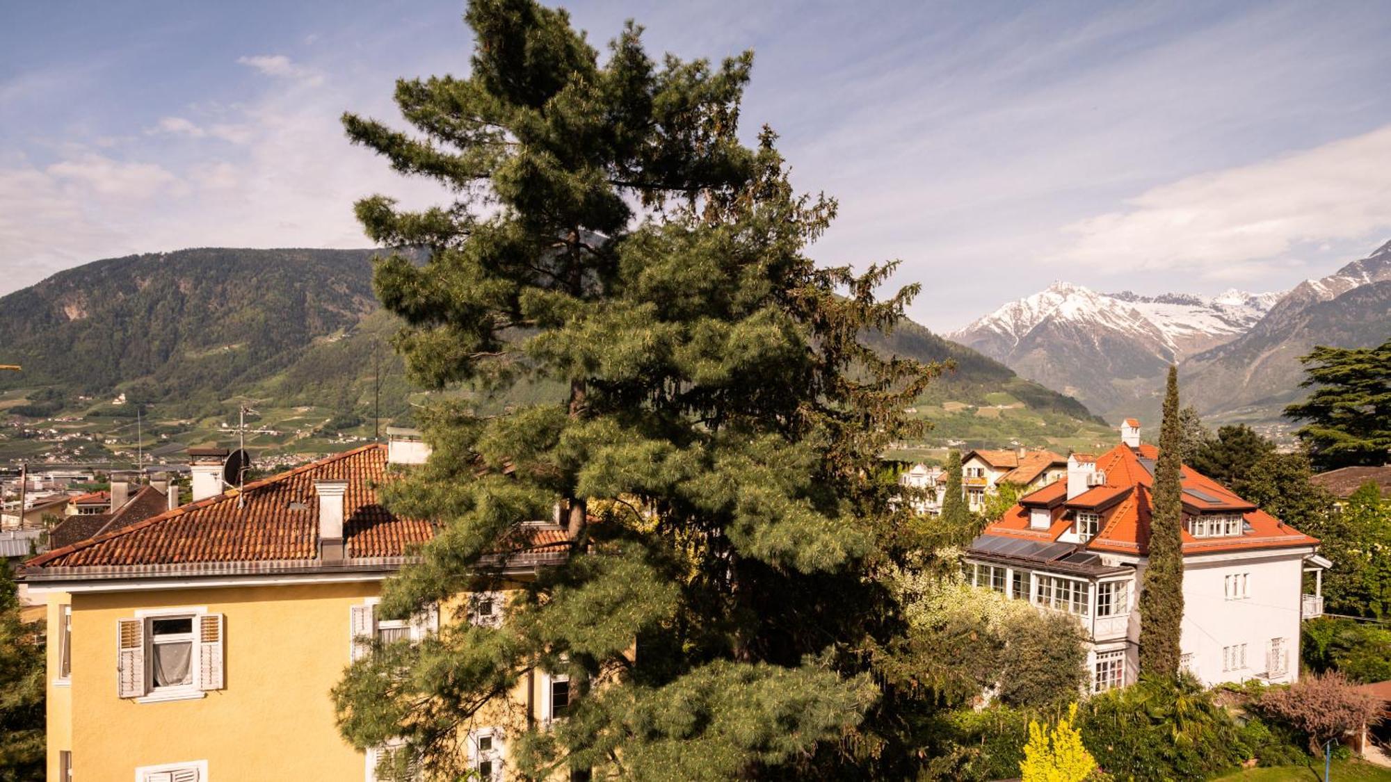 Laurus Hotel 3*